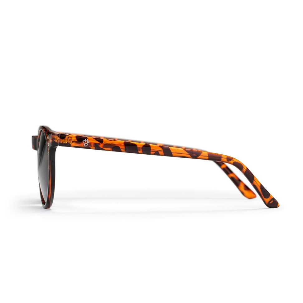 Sonnenbrille CHPO - Torö