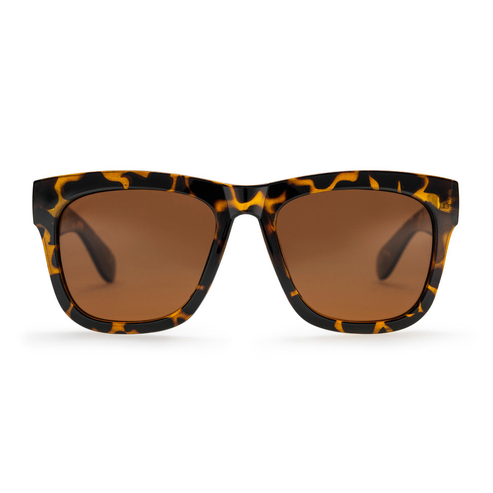 Sonnenbrille CHPO - Haze