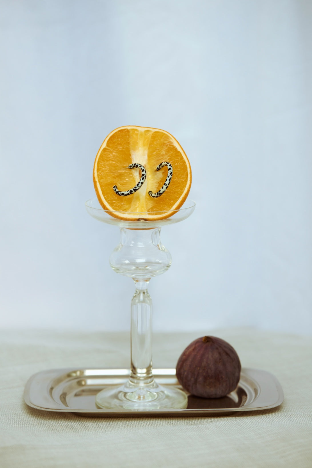 Ohrring Loop - verschiedene Farben